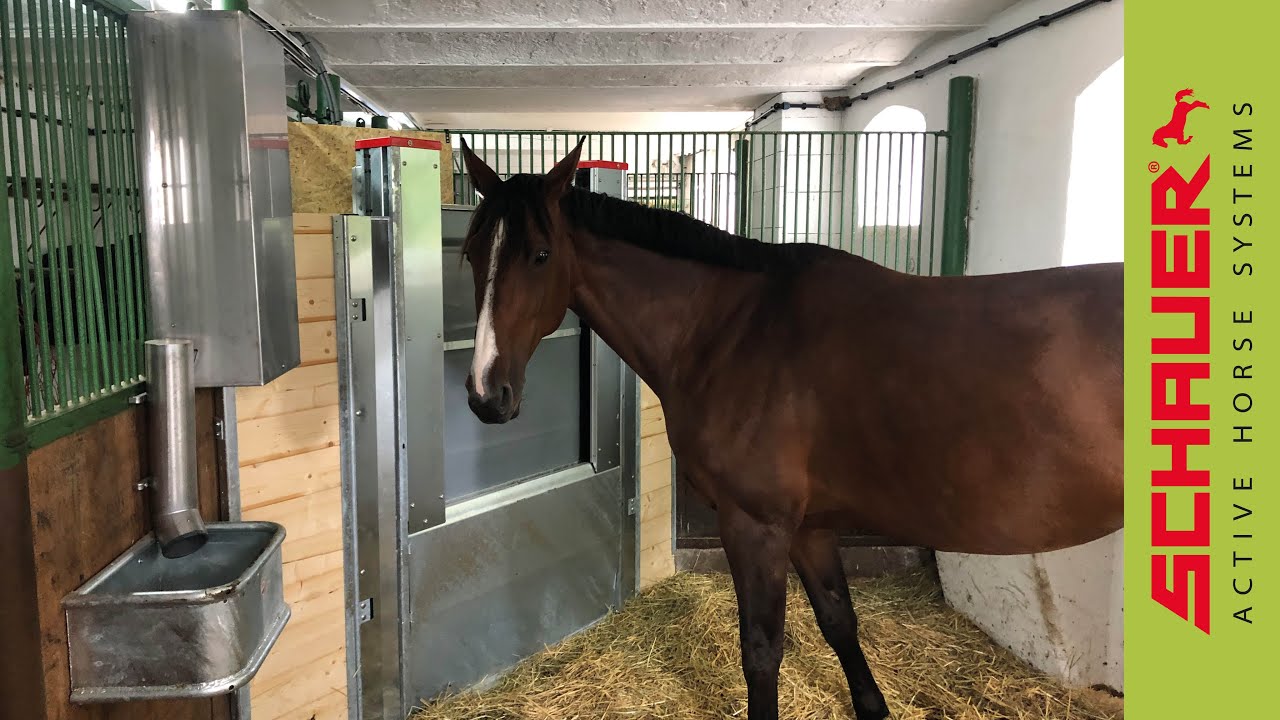 Active Horse Boxenfütterung!