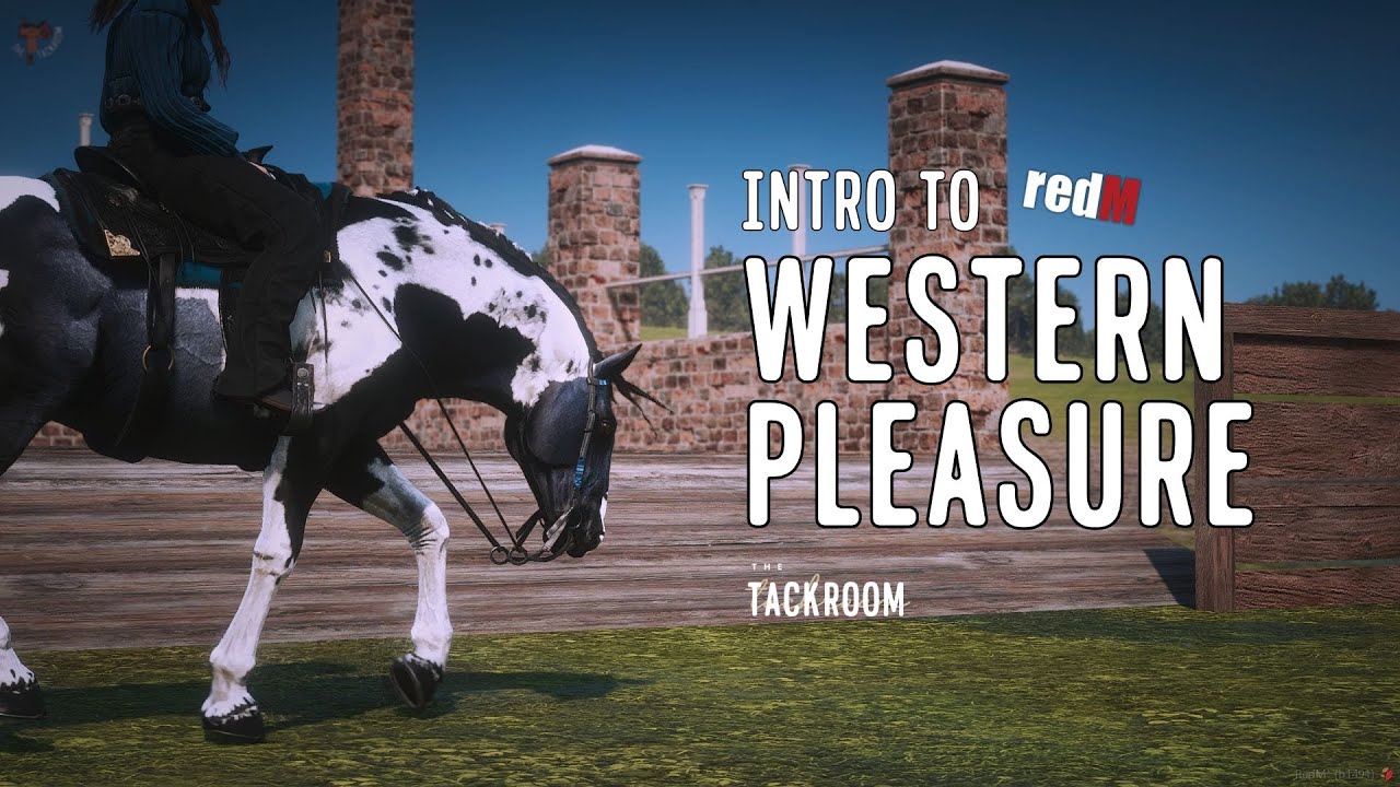 Introduction to Western Pleasure in The Tackroom | How Competitions Work & Gaits Explained