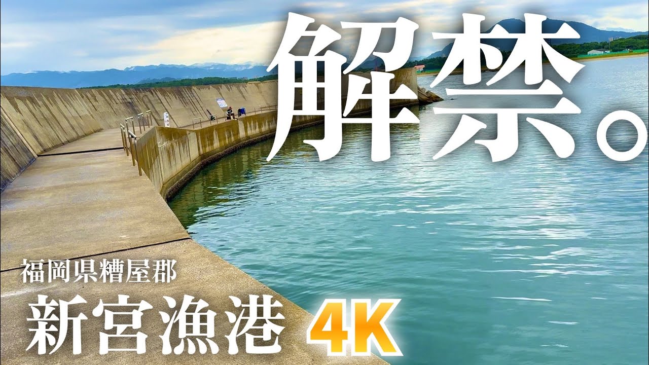 【新宮漁港・福岡県糟屋郡・海中映像】ついに解禁‼︎奇跡の釣り場が復活したぞ！最高の釣り場、新宮漁港を探索してきた# 231 福岡釣部in 福岡・糸島・佐賀・北九州・玄界灘・長崎・平戸・鷹島・唐津・呼子