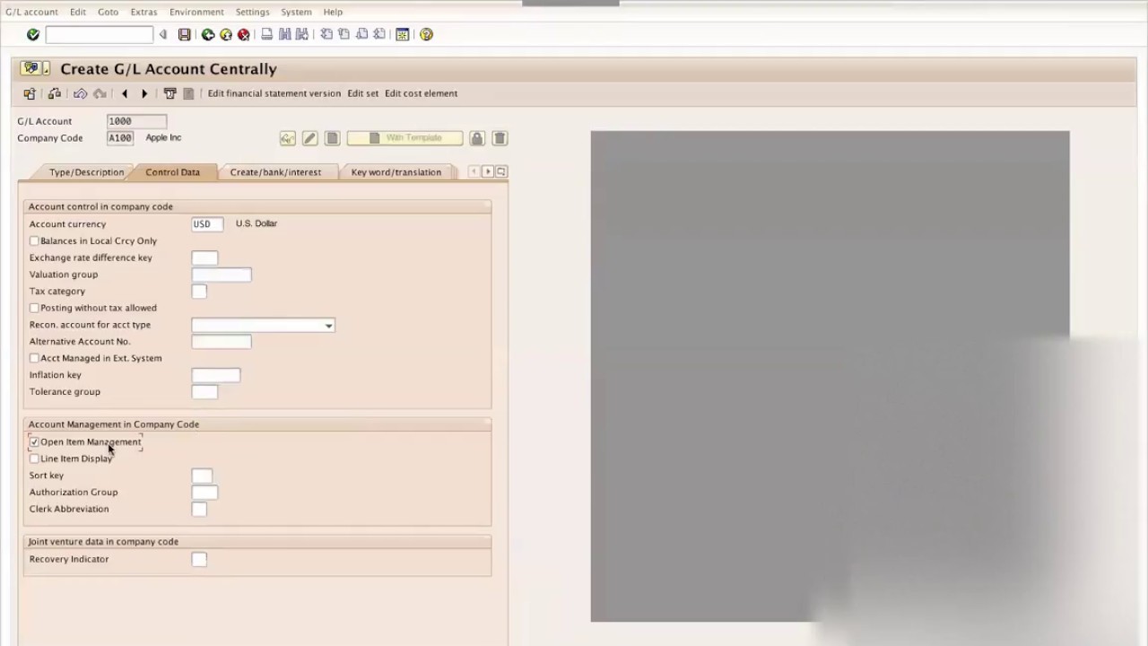 SAP FICO Training-5
