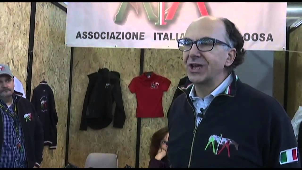 OE#52 - Daniele Cerimele | Fieracavalli Verona 4-8 Novembre 2015