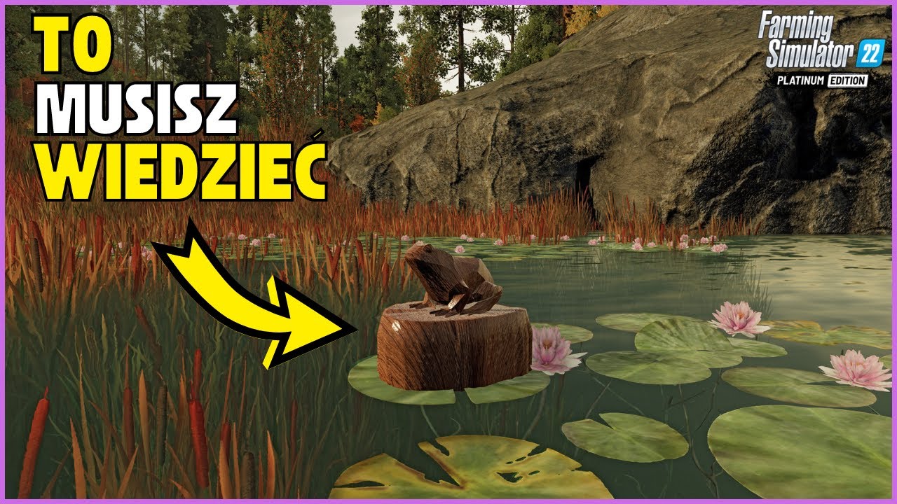 Wszystko, co MUSISZ WIEDZIEĆ o Platinum DLC
