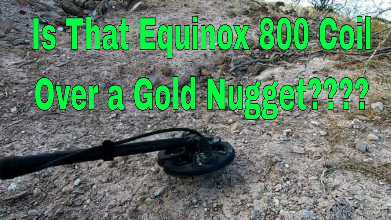Equinox 800 Metal Detector, Gold, and Golden Memories
