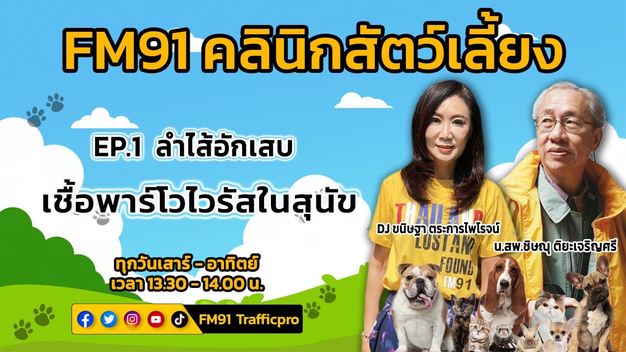 ลำไส้อักเสบเชื้อพาร์โวไวรัส ในสุนัข EP.1 : FM91 คลินิกสัตว์เลี้ยง : 19 กุมภาพันธ์ 2565
