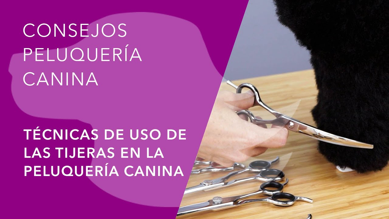 TÉCNICAS DE USO DE LAS TIJERAS EN LA PELUQUERÍA CANINA