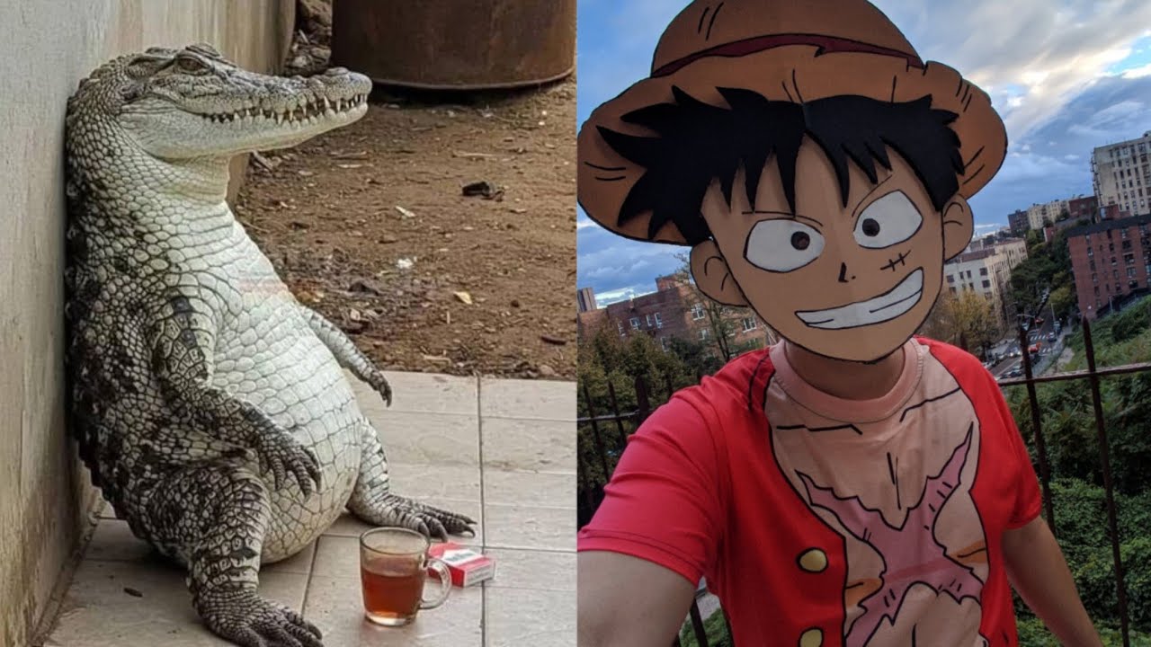 Luffy vs Crocodile was NONSENSICAL 