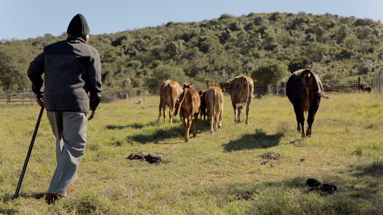 Fighting for justice through land ownership