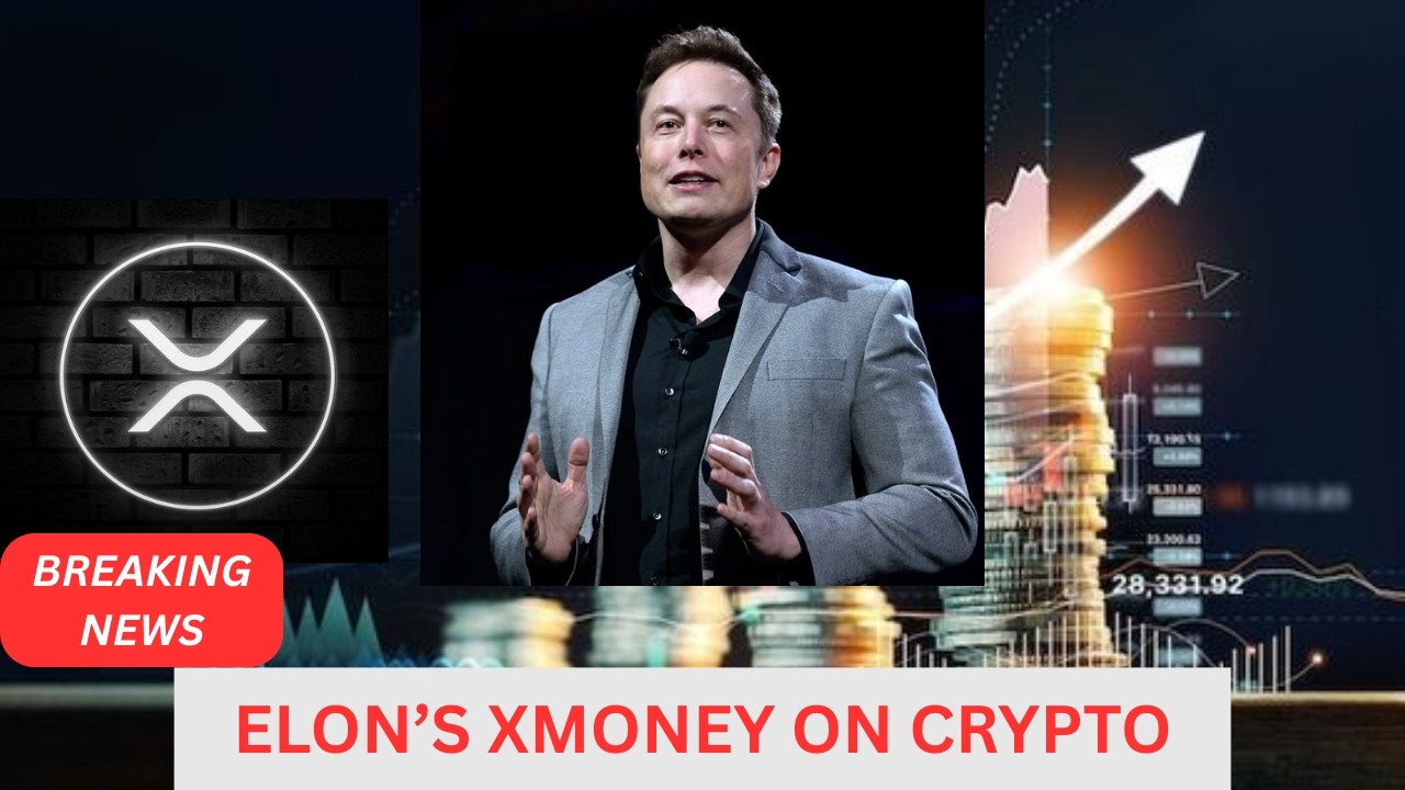 XMN Trending Hard &mdash; Speculation Grows Around Elon&rsquo;s XMoney.