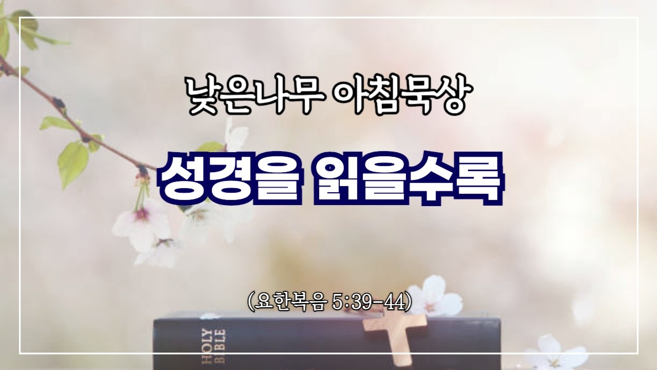 [낮은나무 아침묵상] _성경을 읽을수록  _요한복음 5:39-44 _신원동 낮은나무교회