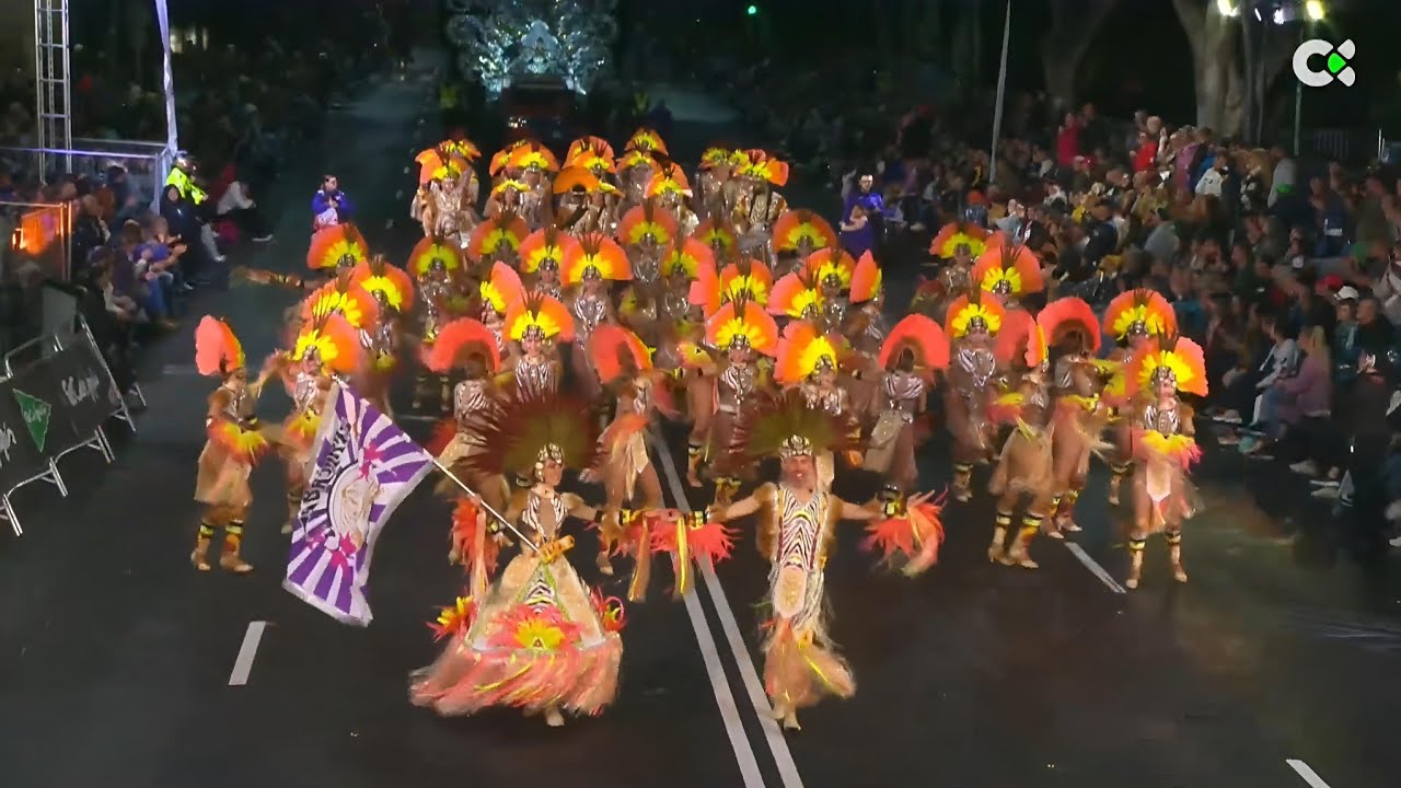 Comparsa Los Tabajaras 2025 | Concurso de Ritmo y Armonía del Carnaval de Santa Cruz de Tenerife