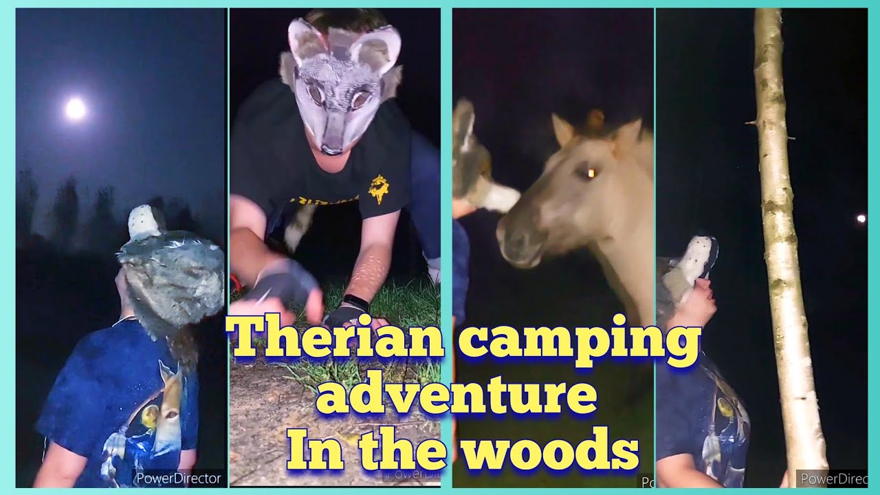 Therian/Alterhuman Camping adventure in the woods #therian #therianthropy #alterhuman #camping 