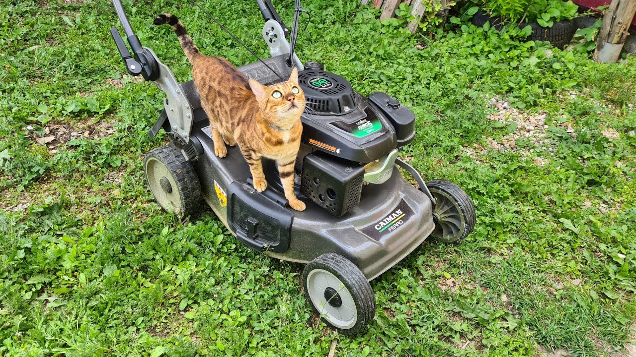 Газонокосилка бензиновая Caiman Ferro 55CLV