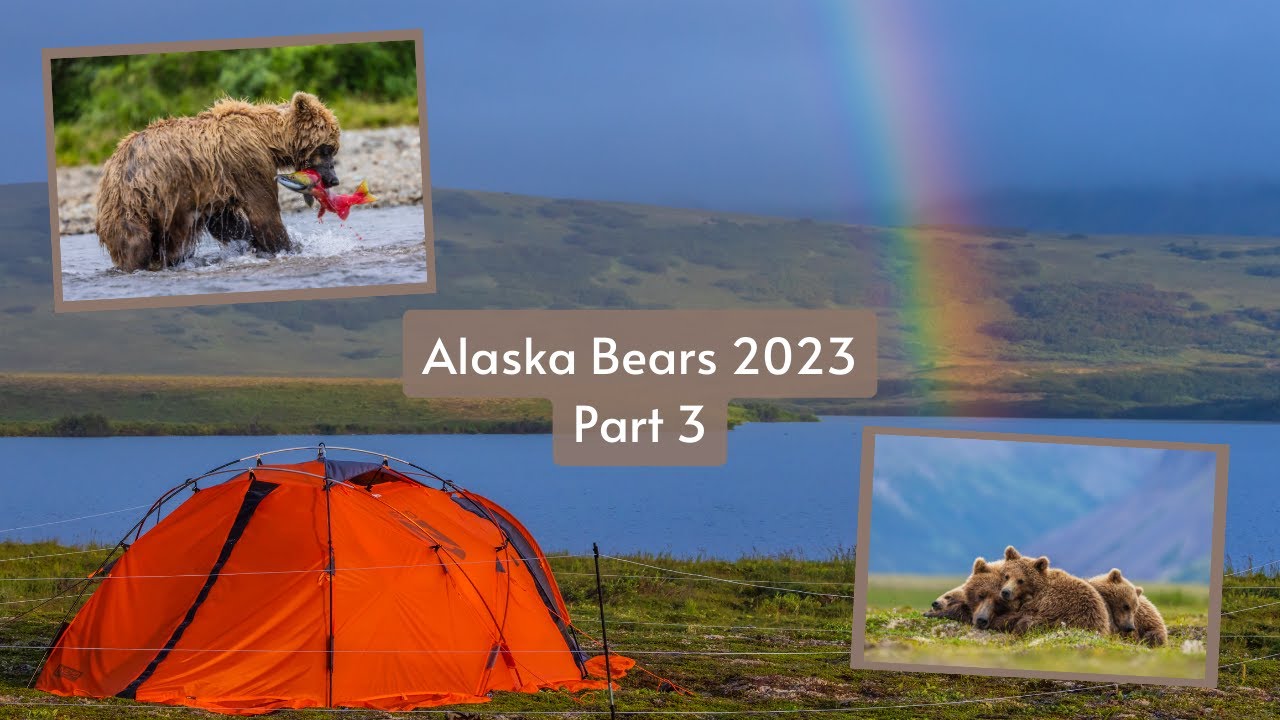 Photographing Alaskan Brown Bears Part 3. Does wildlife photography get any better than this!?