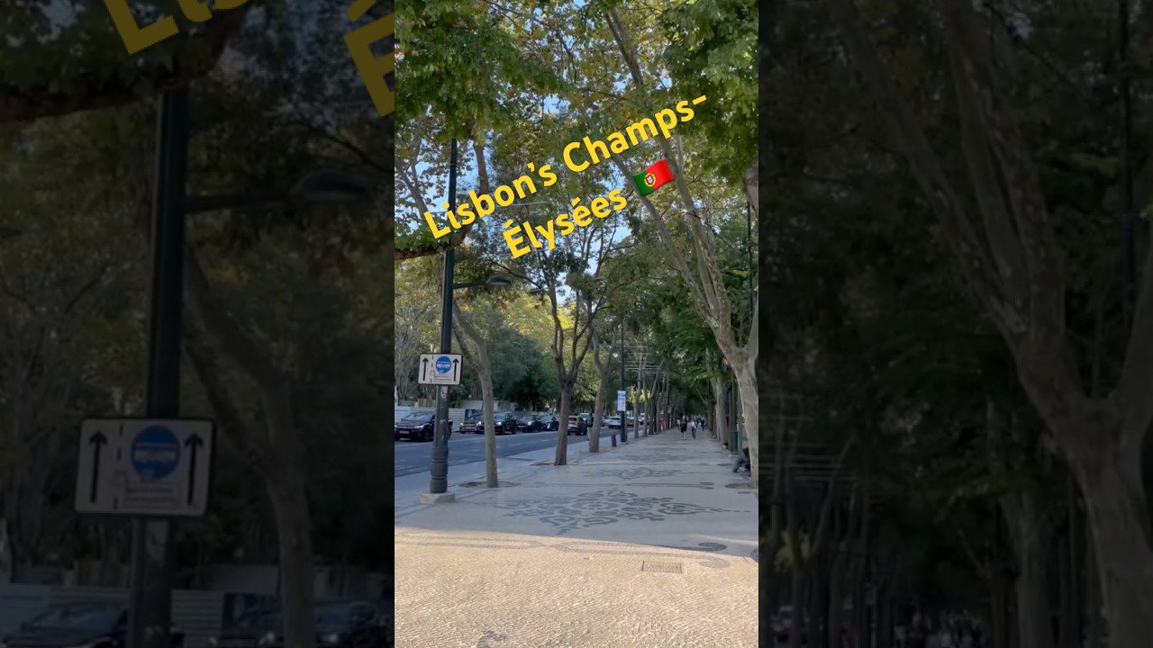 If Rodeo Drive & Champs-Élysées Had a Baby… It’d Be Avenida da Liberdade 💎