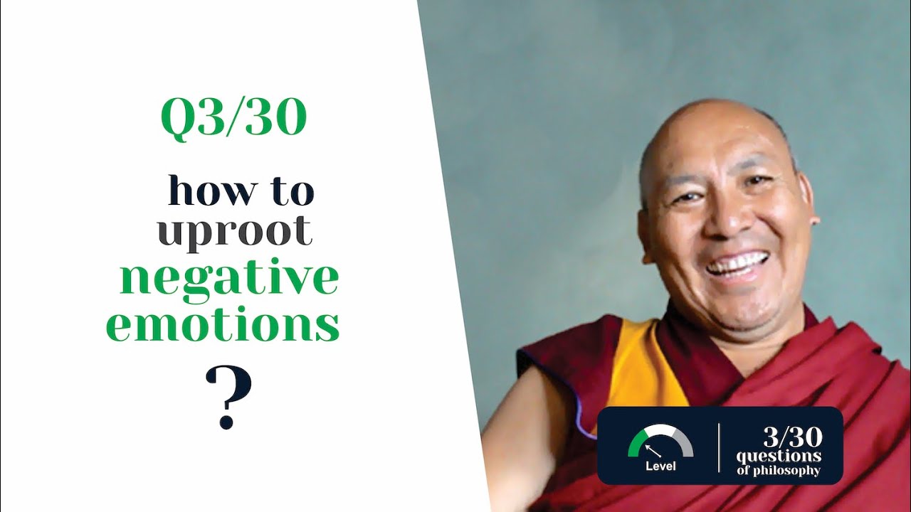 Q 03/30: How to uproot Negative Emotions? by Geshe Lhakdor