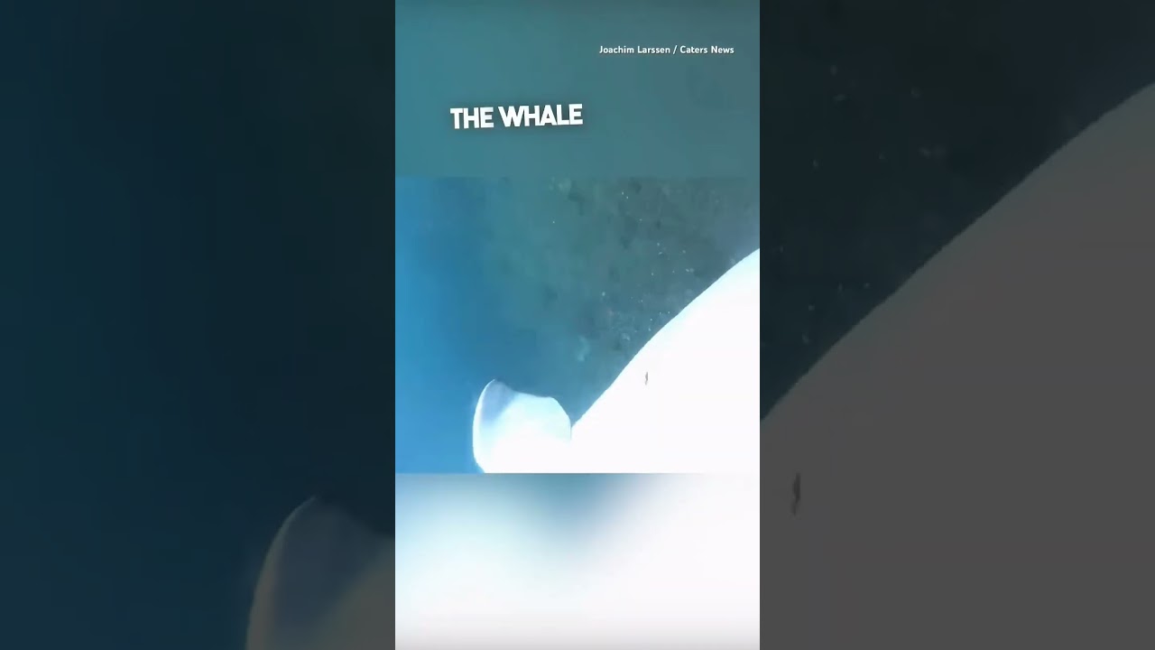 #ocean