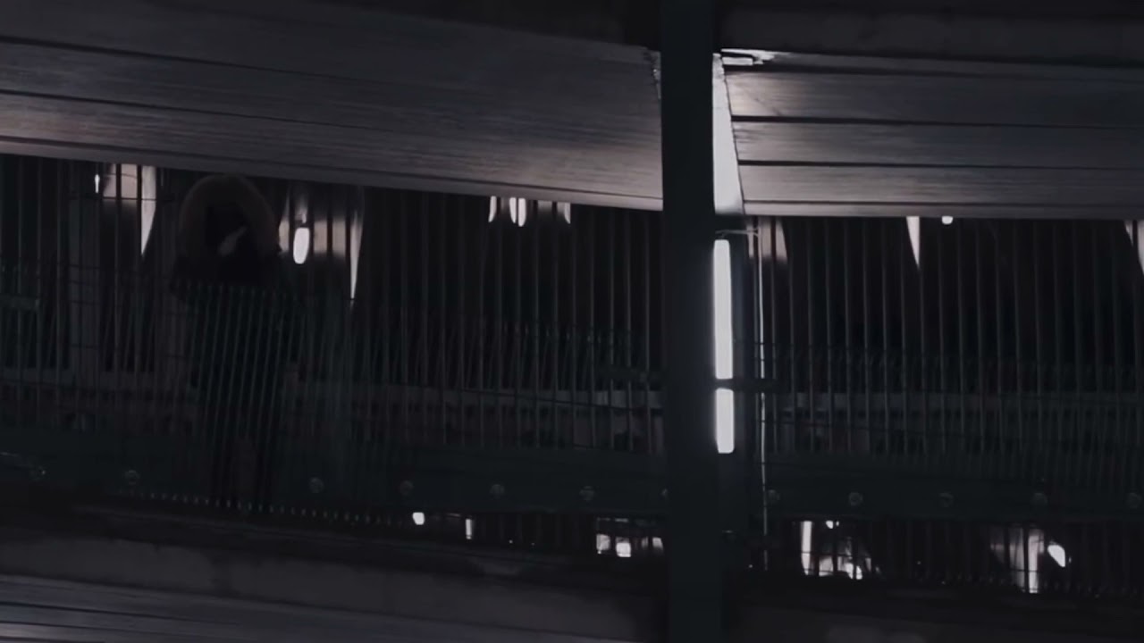 Einár X 23 - Trendsetter [Officiell Musikvideo]