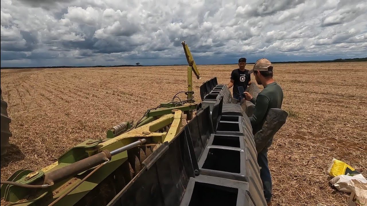 Plantamos o feijão e começamos a plantar gergelin 