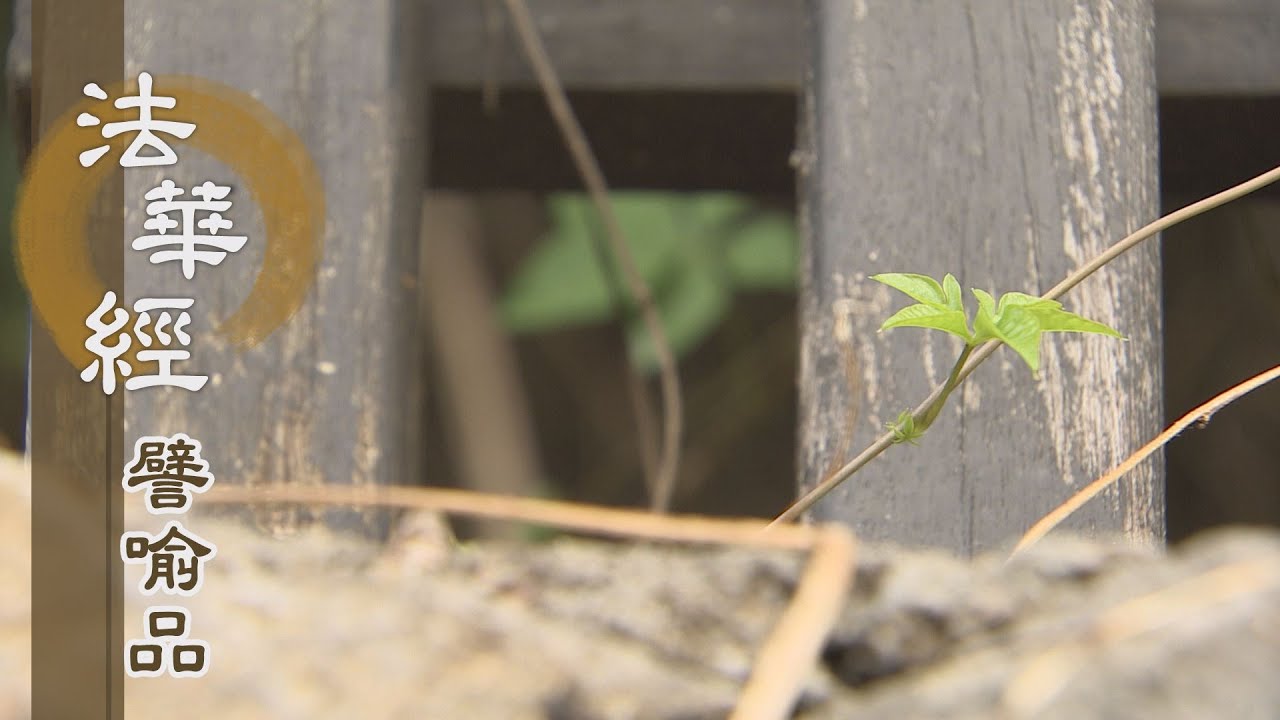 【靜思妙蓮華】法華經譬喻品 - 無明欲熾 調心為藥 - 20201117 第556集