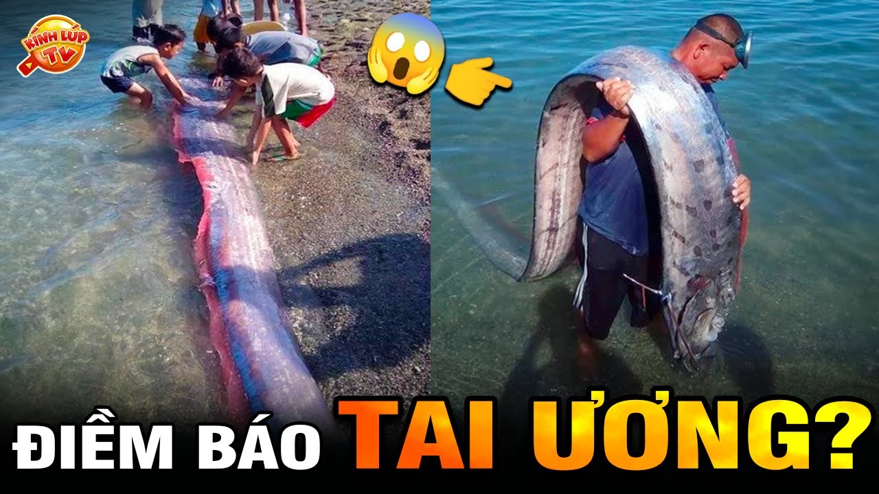 🔥 8 Cảnh Tượng Kỳ Lạ và Siêu Hiếm Gặp Trên Biển Việt Nam Khiến Ngư Dân Chỉ Muốn Bỏ Nghề| Kính Lúp TV