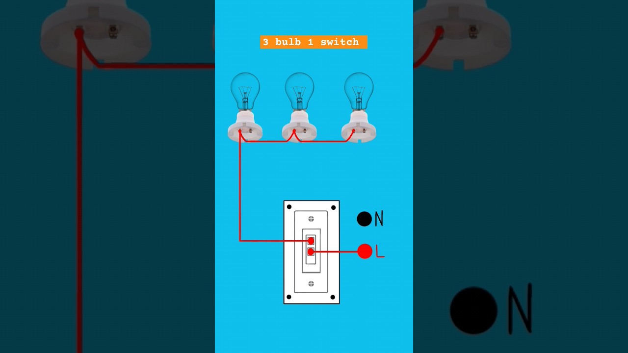 3 bulb 1 switch parallel connection l #wiring #shorts #short #shortsfeed