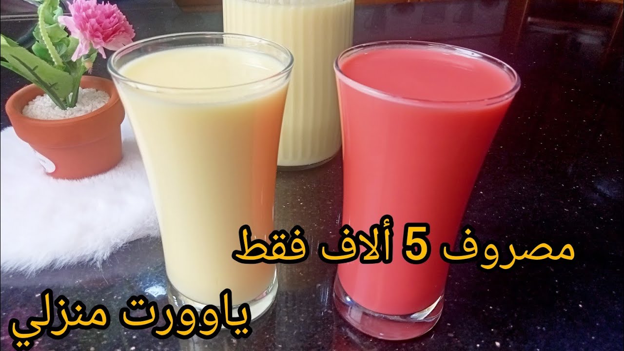 عندك شكارة حليب أرواحي ، فقط ب 50د حضري لتر نتاع ياغورت القرعة بنة عظيمة و قوام رائع