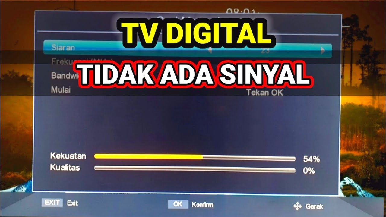 Reasons Why Digital TV Has No Signal