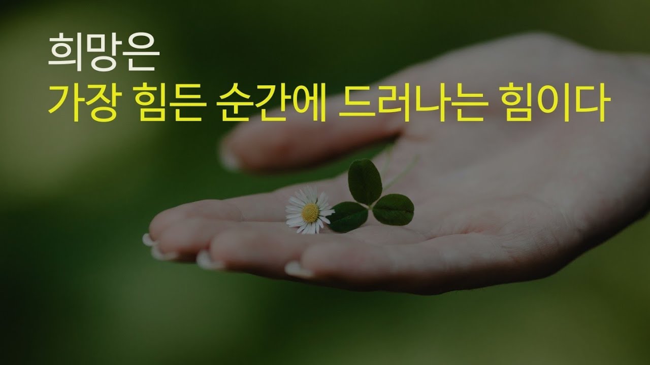 아침긍정확언317일째!희망이 있는한 우리는 쓰러지지 않는다.