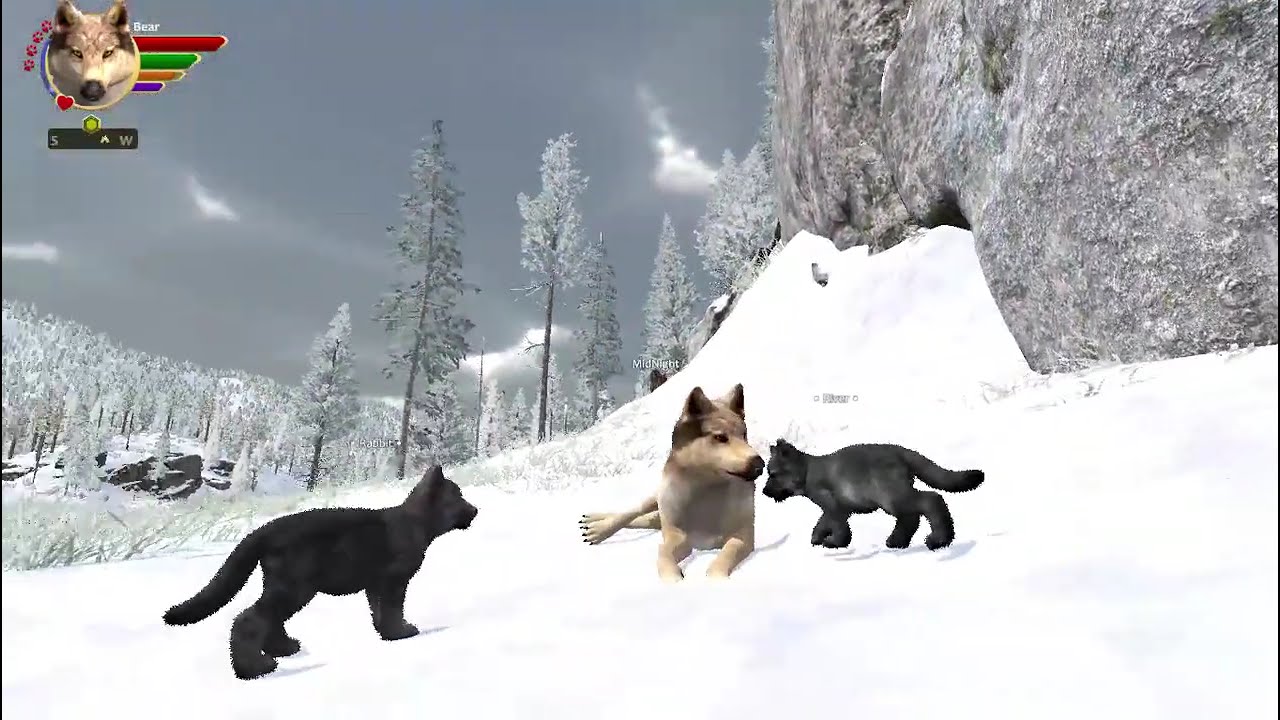 A Risk To Save A Pack