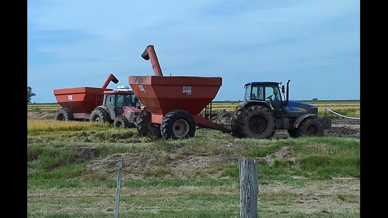 El gasoil transfiere 100 millones de dólares anuales a Rentas Generales