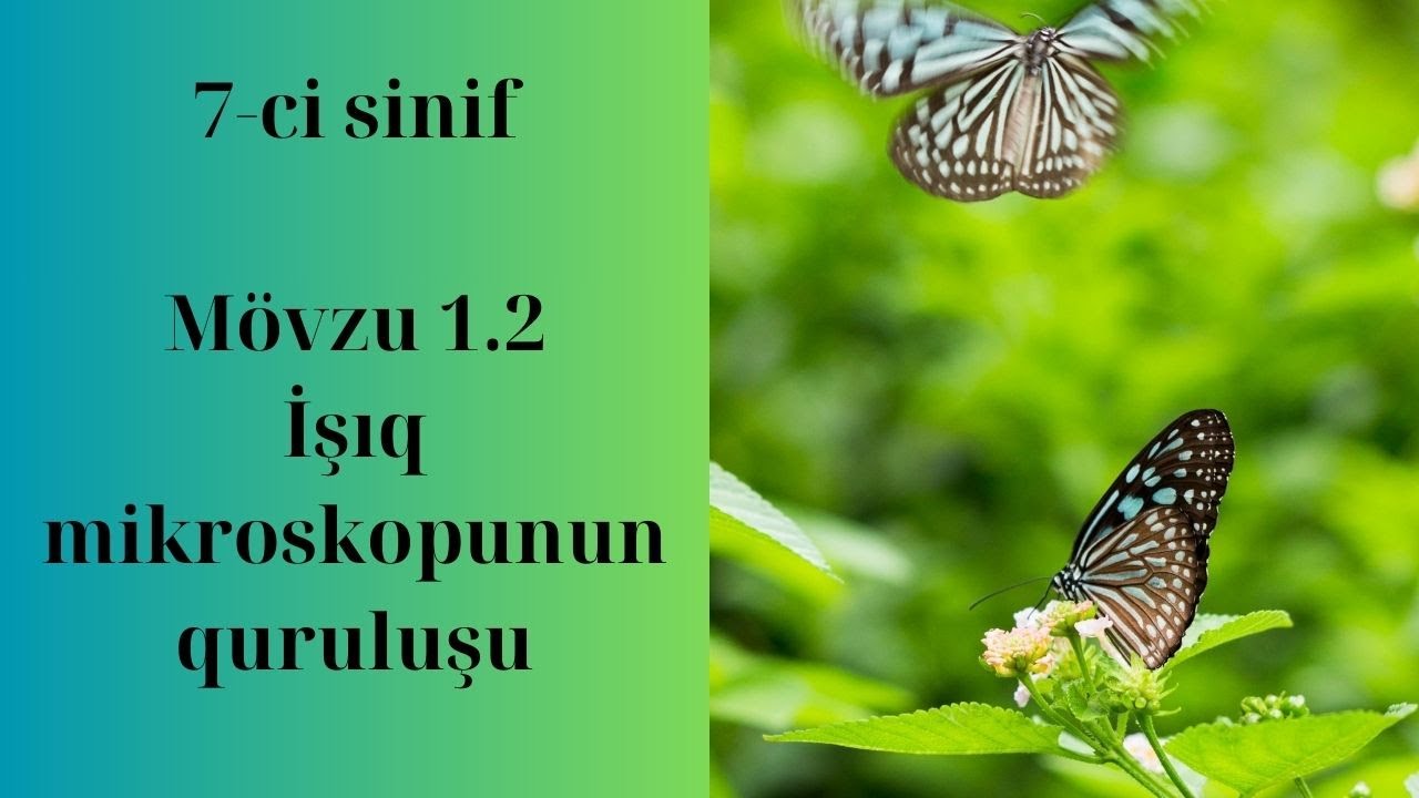 İşıq mikroskopunun quruluşu (məsələ həlli izahlı) #biologiya #müəllim #education #biology #hazırlıq