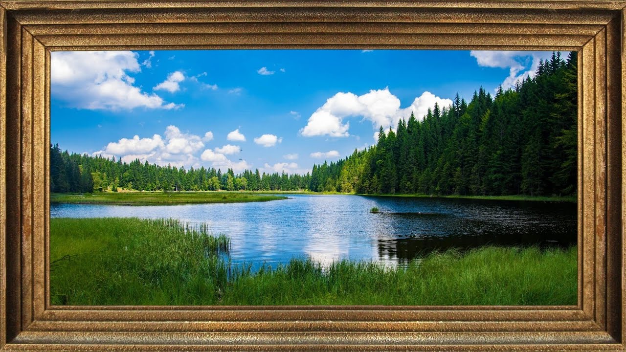 Nature Wall Art: Forest & Lake Scene | 2 Hour Ambient TV Loop for Calm Spaces