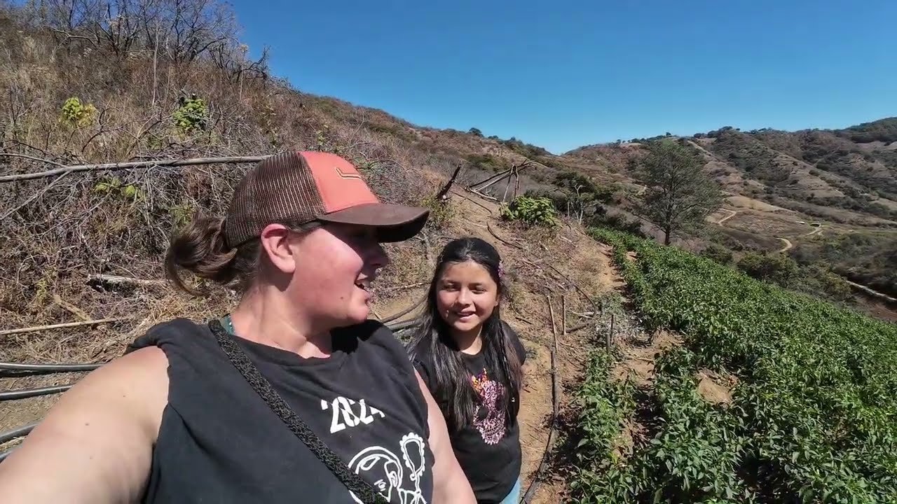 ¡Vamos a un corte de chile 🌶️ aquí en nuestro pueblo! ¡Nuestra vida en Oaxaca!
