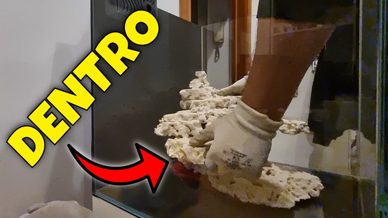 Inseriamo La ROCCIATA Nel Mio ACQUARIO MARINO!