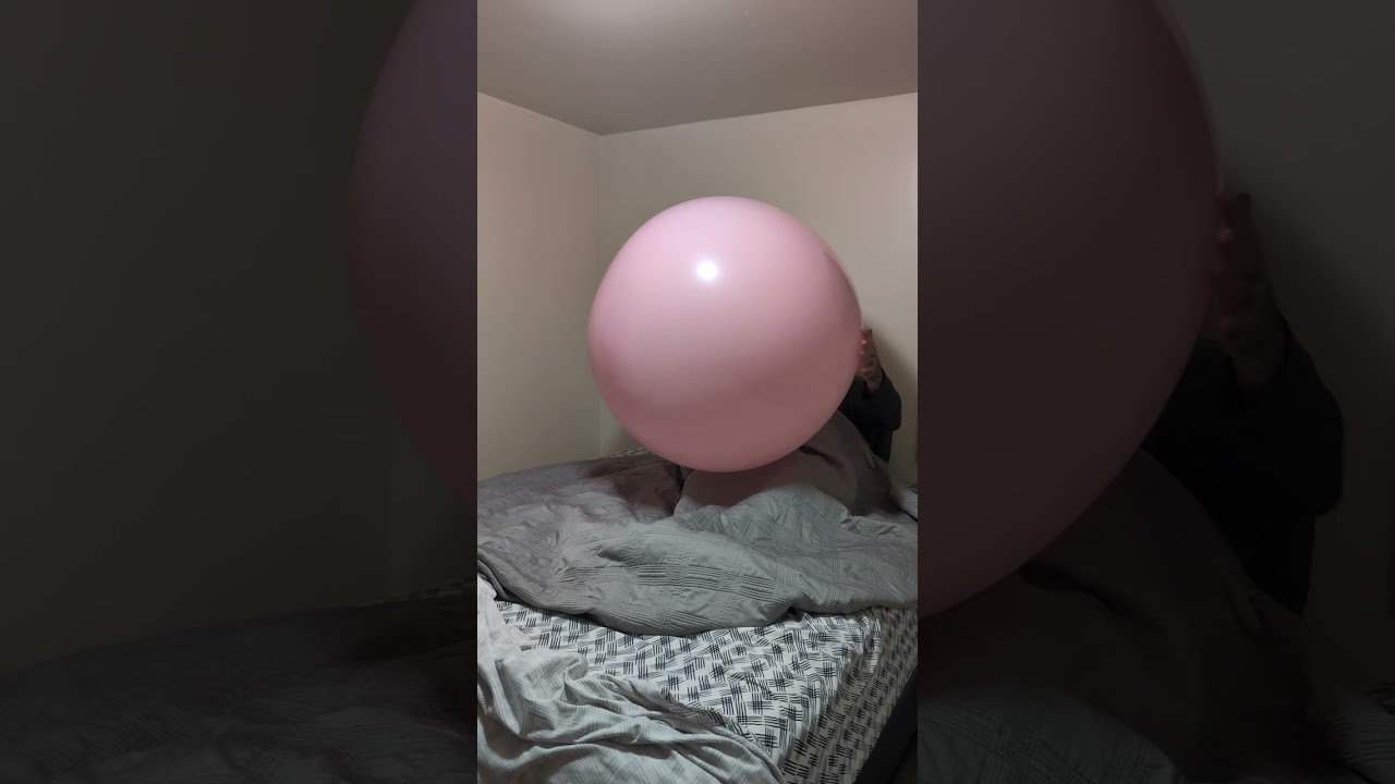 Blow to pop 36 inch pink qualatex balloon for Cassidy kemp 