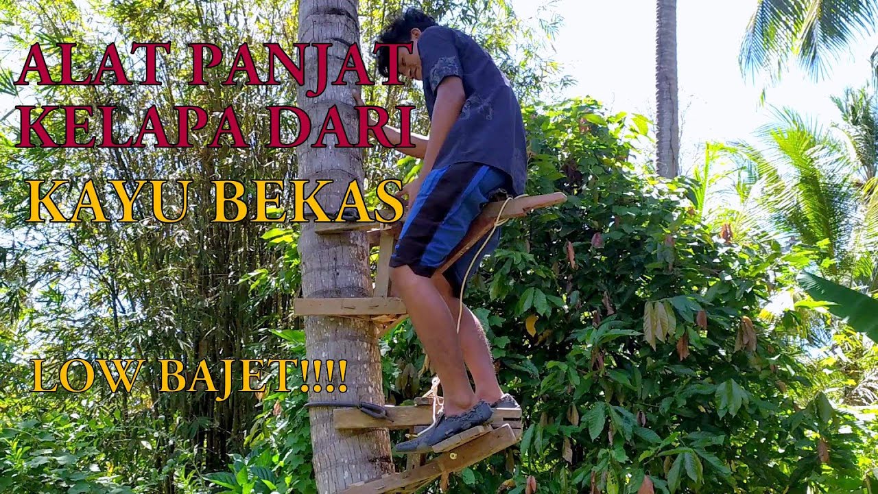 KEREAKTIF!!!!! Alat panjat kelapa sederhana dari bahan-bahan bekas