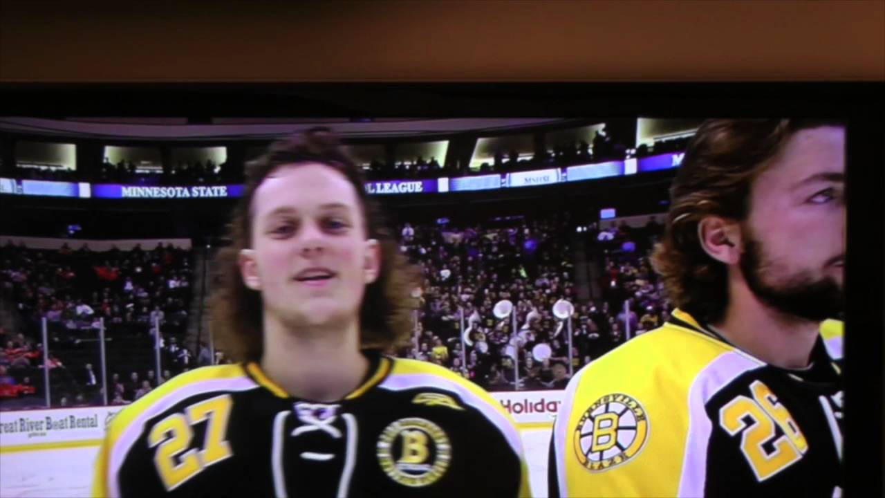 2016 Minnesota State High School All Hockey Hair Team