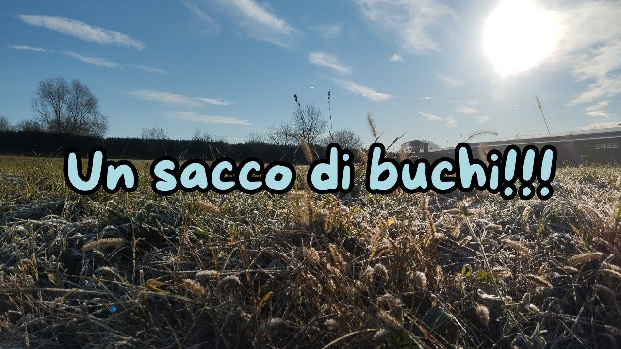 Così tanti buchi?!? Lavori che aspettavo da taaanto!