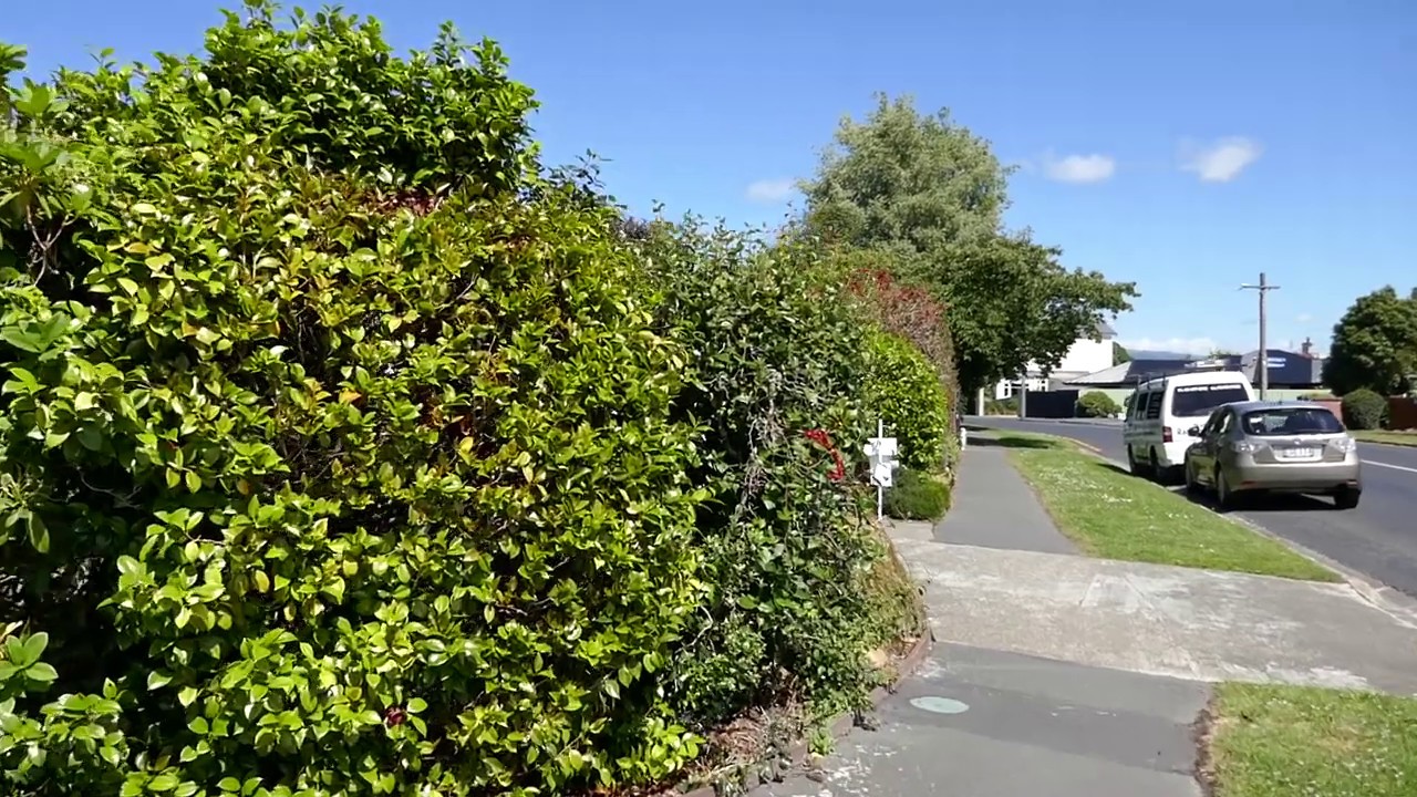 Mosgiel