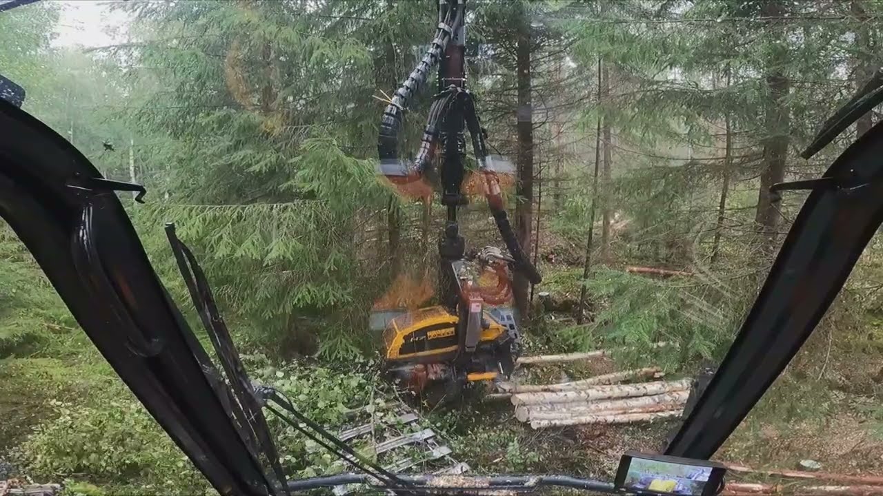 Tuleekohan tästä mitään? Tuleva jatkuvan kasvatuksen kohde? Yritetään🤷‍♀️ Ponsse Scorpion K H7 AC FC