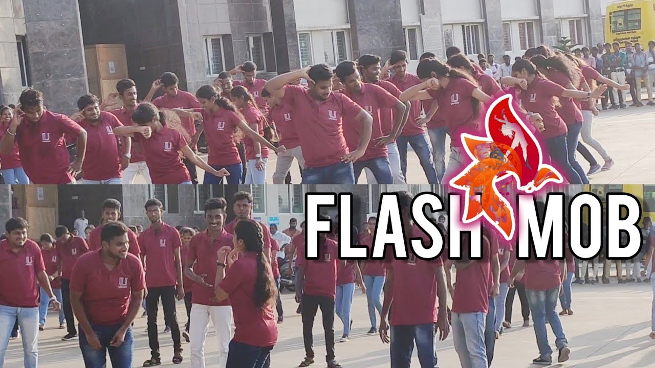 flash Mob by EINZIGARTIGZ | VCRI Orathanad