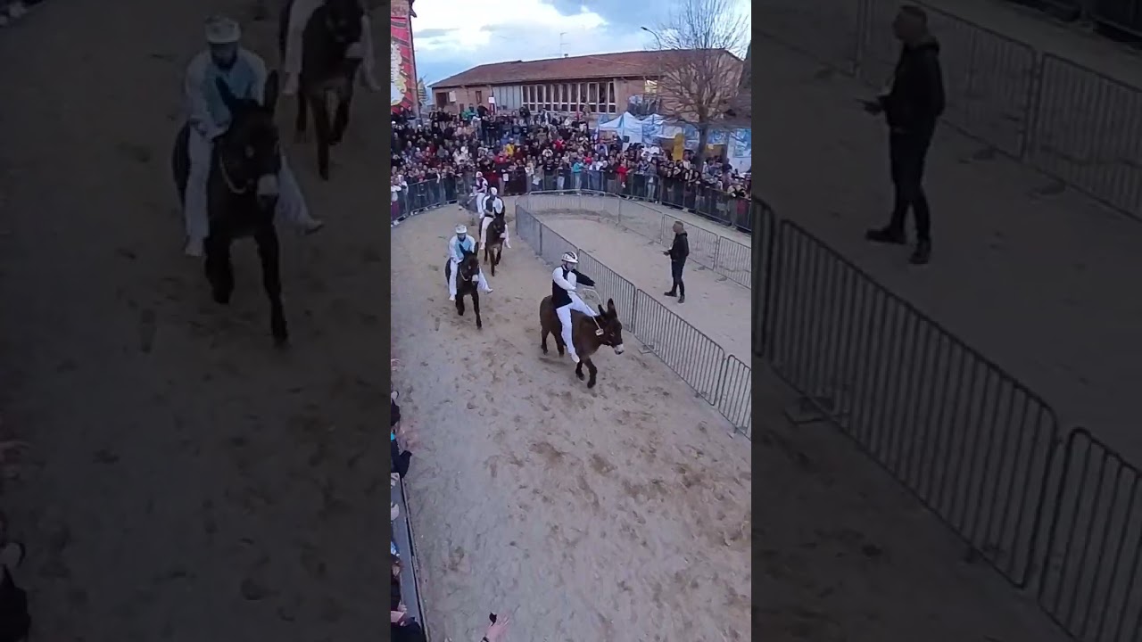 Corsa del 67°Palio dei Somari 2024