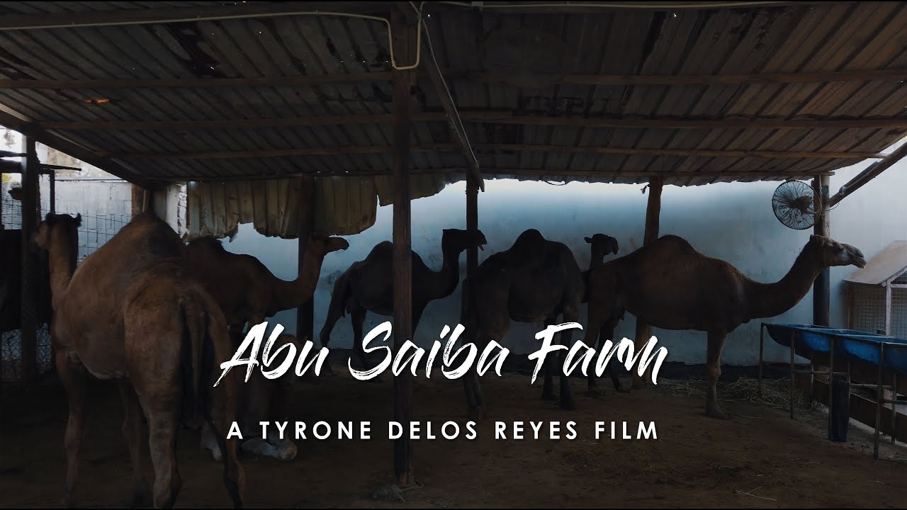 Abu Saiba Farm