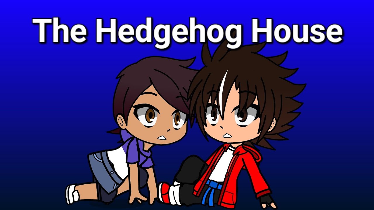 Austin The Hedgehog: The Hedgehog House