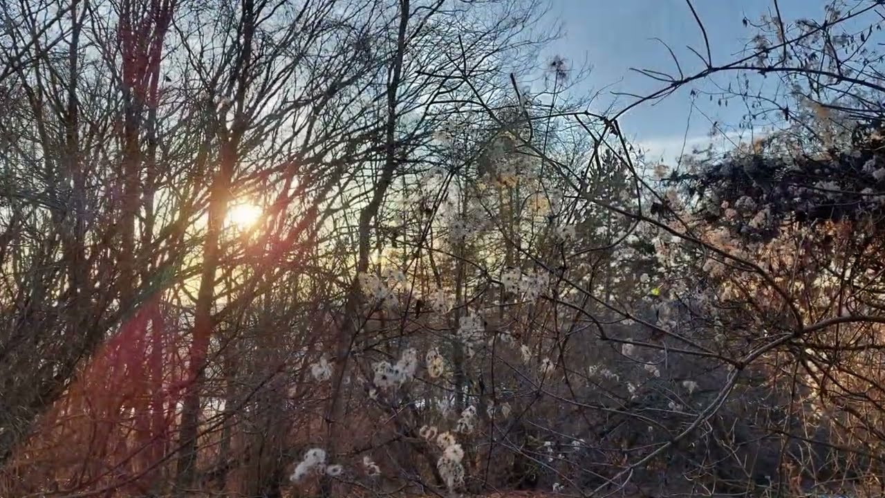 Rund um Küllstedt im Winter
