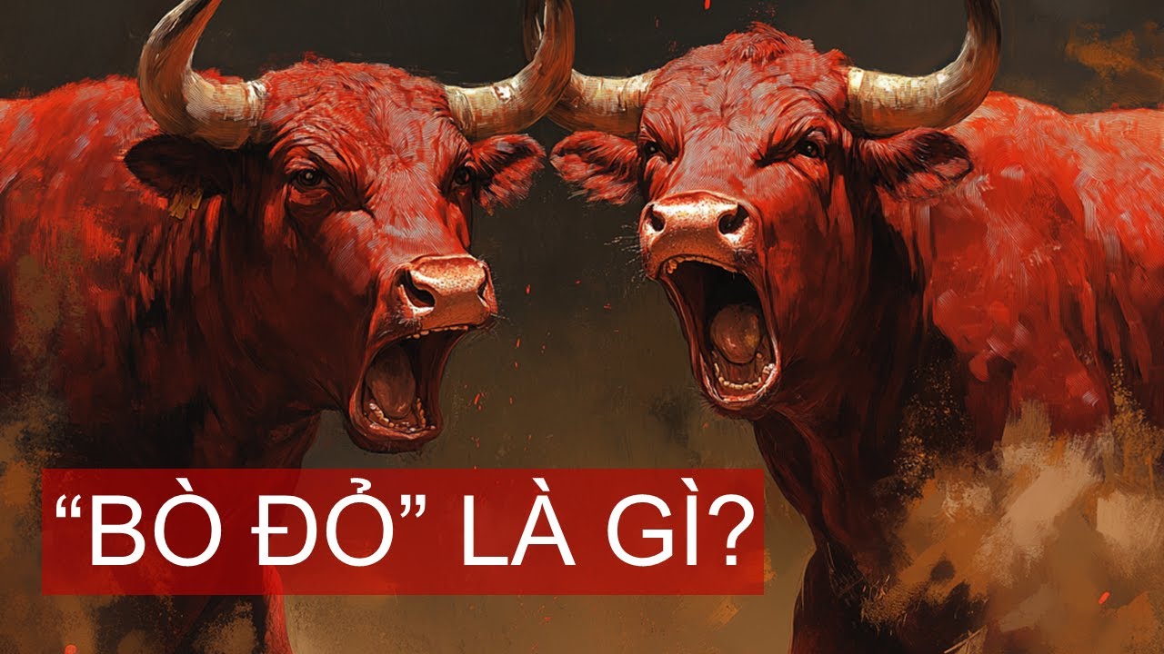 Bò đỏ là gì?