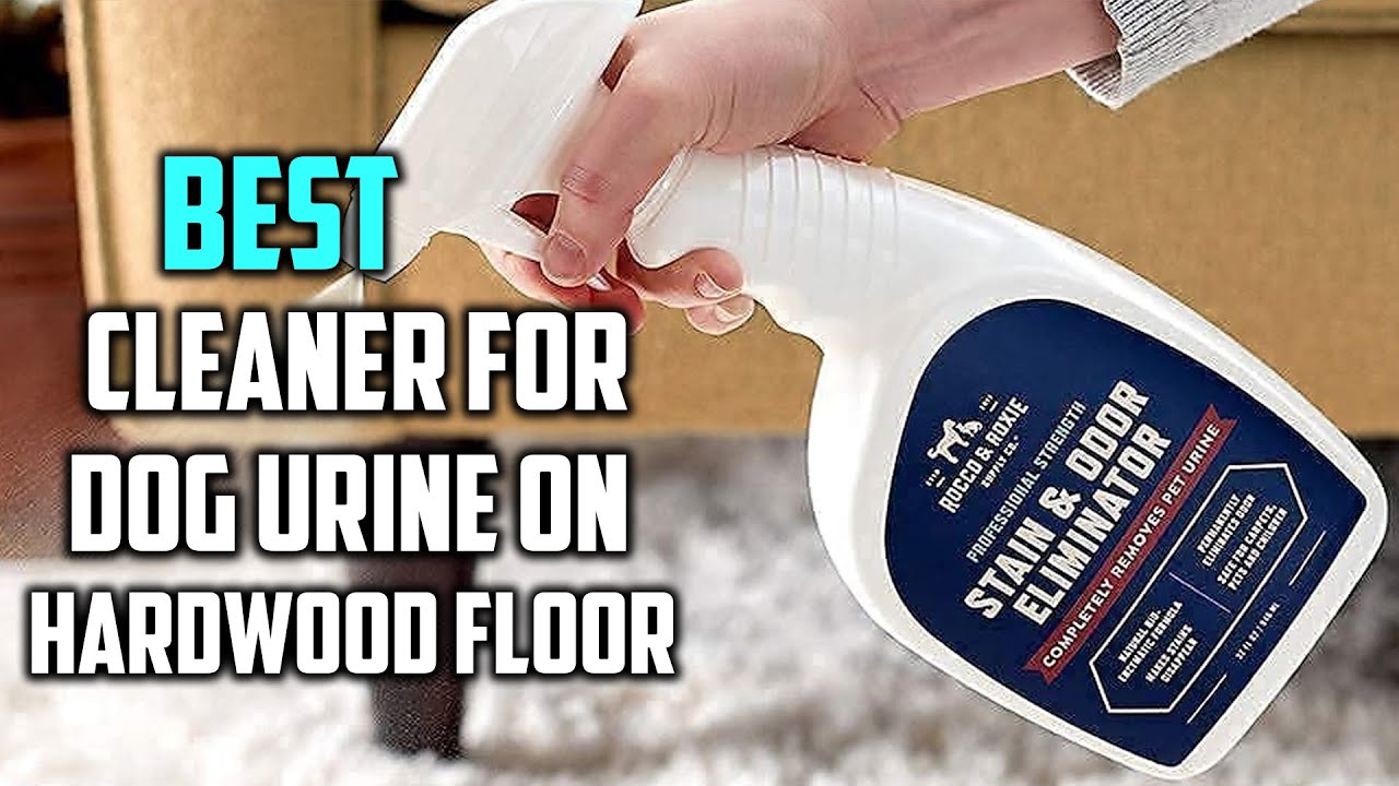 Best Cleaner for Dog Urine on Hardwood Floor in 2026 - Top 5 Review and Buying Guide