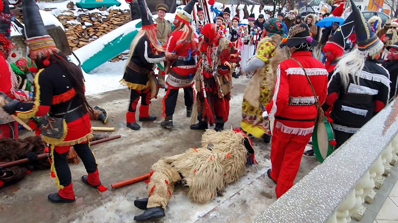 Ursii de la Vorona 31.decembrie 2019