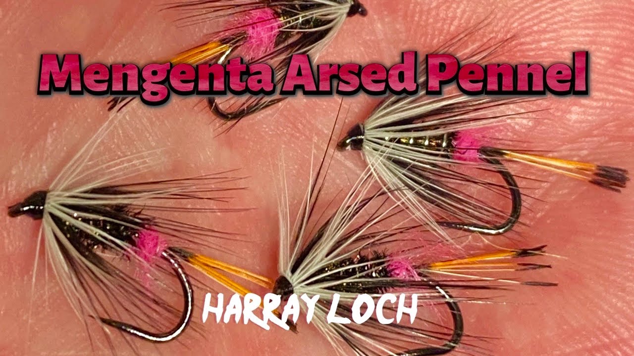 Fly Tying - How to tie the Megenta Arsed Pennel