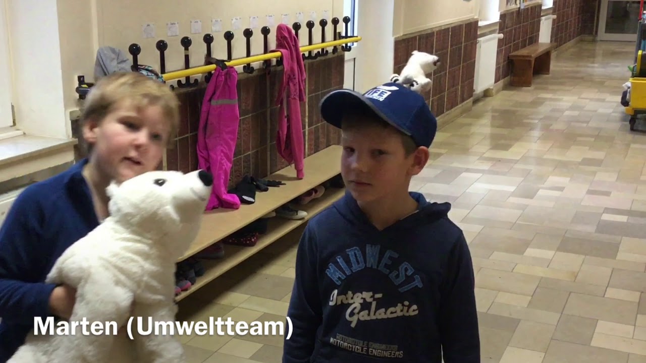 Rettet die Eisbären